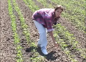 Taking the biggest cock in American city - CHAPTER #03