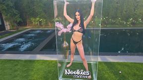 ”Sexbot Programmed - Violet Voss - Nookies”