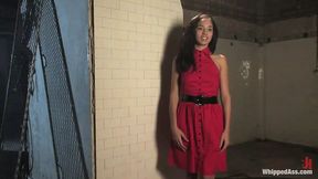Alicia Tease
