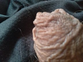 The boy is amused by showing off his nice dick.