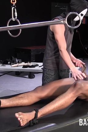 A Handsome New Plaything