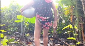 Amazing Is Pee in the Pot Outdoor