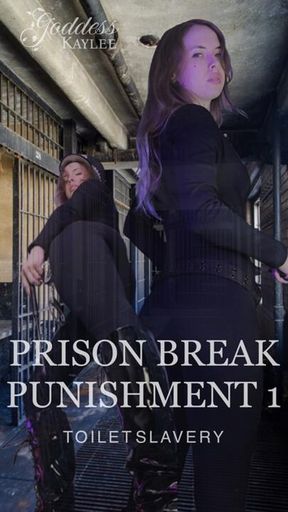 Prison Break Punishment 1 - Turned Into a Toilet Slave