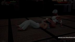 Niko VS Broadzilla (Naked Fighter 3D)