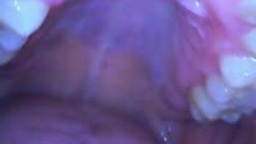 Mouth Vore A Bite-Sized Snack