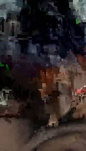 Tamil auty super fuck