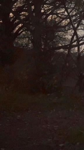 Unable to get back to car naked and barefoot 8 cars caught me naked in public   Clip 1