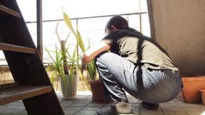 Peeing on a Potted Plant