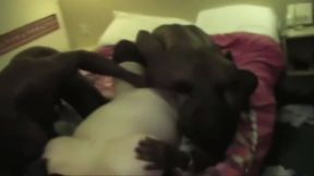 Milf MoM Cuckold Breast Milk BBC Gangbang