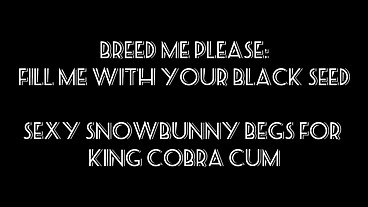 Breed Me Please: Give Me All Your Black Seed
