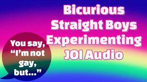 Bicurious Straight Boys Experimenting JOI Audio Only - You didn't mean to end up jerking each other off! - Make Me Bi, Bisexual Encouragement, Gay Jerk Off Instructions, Queer, Frotting, Female Domination, Femdom with Mistress Mystique Hoops - MP3
