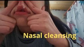 nasal cleansing