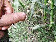 Indian pissing videos