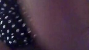 Hung t-girl babe mm collection 3