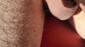 flaccid to erect, playing with precum, tease