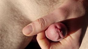 flaccid to erect, playing with precum, tease