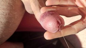 flaccid to erect, playing with precum, tease