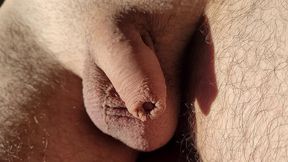 flaccid to erect, playing with precum, tease