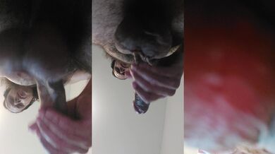 Prehistoric Dino Dick