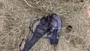 Mess in the Pigsty Farmer Seeks Woman to Fuck