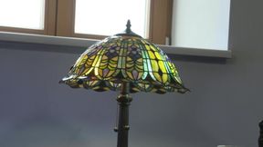 The Terminator: Hasta La Vista, Virginity