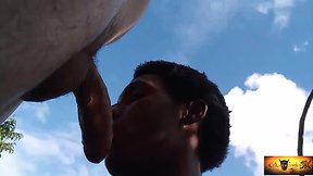 Achei um vagabundo no mato e pedi pra mamar ele!