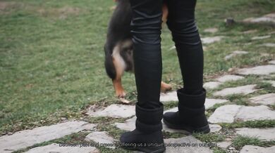 Car Sex & Hot Tub Delights, Adventure's Best by Laura Quest S02E02  (Part 1)