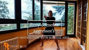 Rosy domestic aggressor's destruction with martial arts