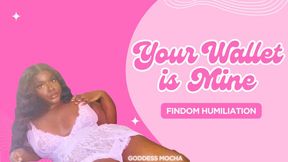 Your Wallet is Mine:FINDOM HUMILIATION