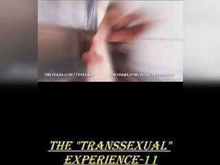 The Tranny Experience 11