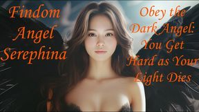 Obey the Dark Angel - You Get Hard as Your Light Goes Out