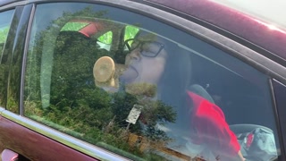 I Got Horny While Driving So I Stop To Fuck My Dildo In The Car For A Bit