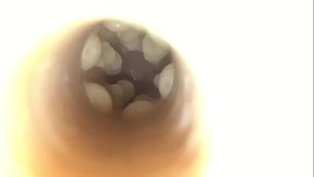 Filling a Stoya Destroya Fleshlight with Cum / Slo Mo Cumshot