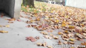 Euro street whore gets big cock in doggystyle and POV