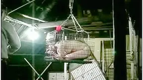 Japonesa Arrodillada Dobla Su Cuerpo para Darle Oral Perfecto