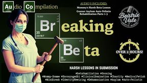 Breaking Beta Compilation: A Harsh Lesson in Submission