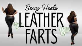 Sexy Heels Leather Farts