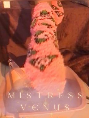 V€NU$ the Size 6 Seductress