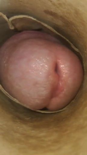 POV: Cummin' Inside of You