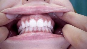 Onyx Kim's Mouth Tour - MP4 sd