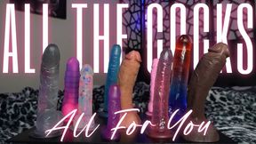 “All Cocks All For You” [DICK WORSHIP]
