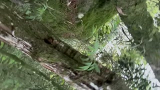 EL PASEO DE RÍO TERMINO EN UNA GARGANTA PROFUNDA