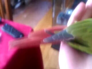 Kiwi's How to Make love Part 1