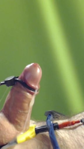 Powerful moment from &quot;Assorted estim cumshots&quot;