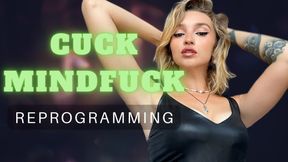 "HOW TO BE A GOOD CUCK" TUTORIAL
