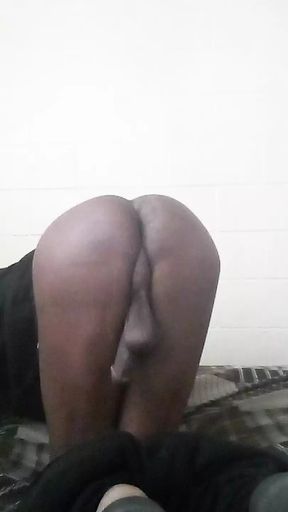 Eat my ass daddy