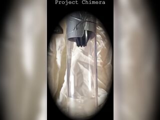 Project Chimera Setup A