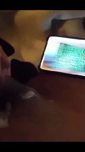 Cum *** Compilation for My Hot Wife