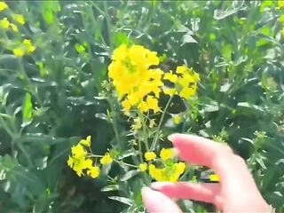 Wild Outdoor Blow job in a Flower Field + Massive Spunk fountain on My Large Melons - BabyBeer
