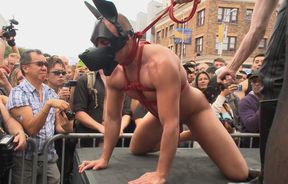Very public domination for a gay pupslave